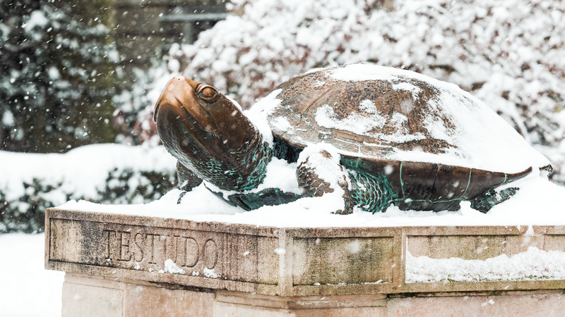 Winter_commencement_testudo