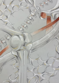 a silvery illustration of a joint with various muscular and bone structures in the background